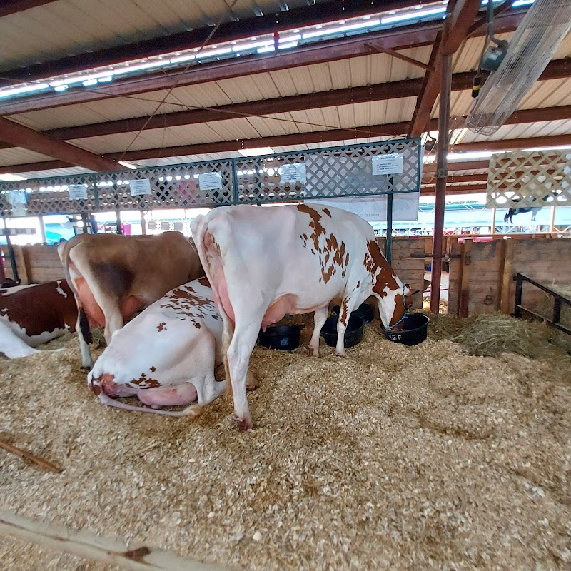 Rockingham County Fair photo 17