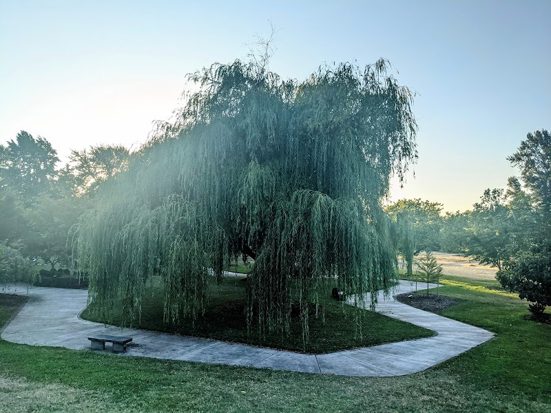 The Cuthbert Amphitheater photo 18