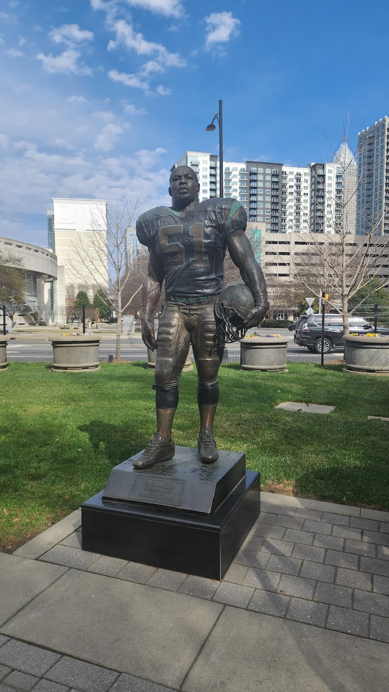 Bank of America Stadium photo 7