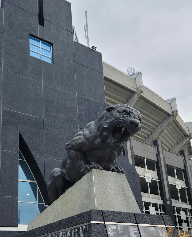 Bank of America Stadium photo 14