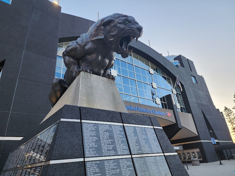 Bank of America Stadium photo 16