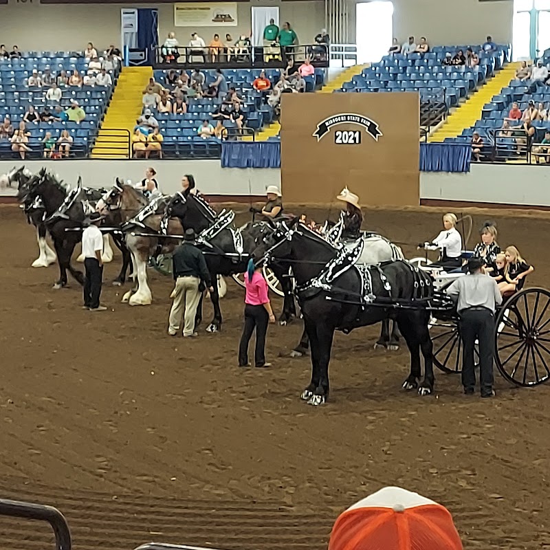 Missouri State Fair photo 4
