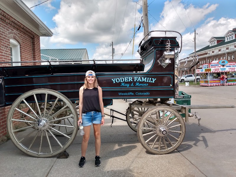Missouri State Fair photo 6