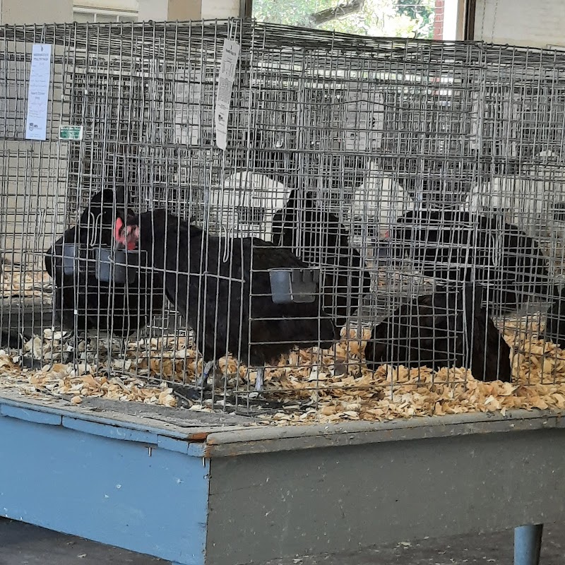 Missouri State Fair photo 7