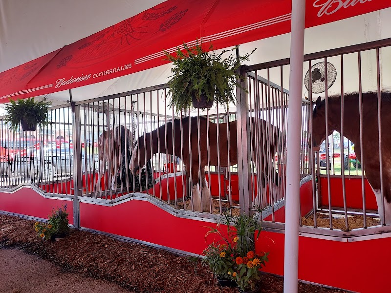 Missouri State Fair photo 9