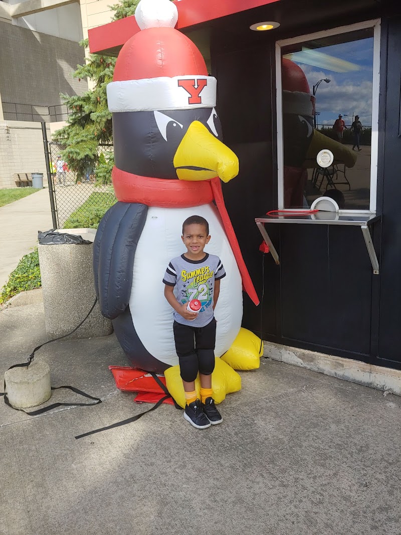 Stambaugh Stadium photo 10