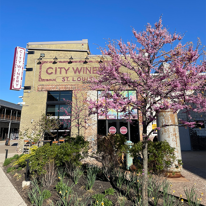 City Winery photo 1
