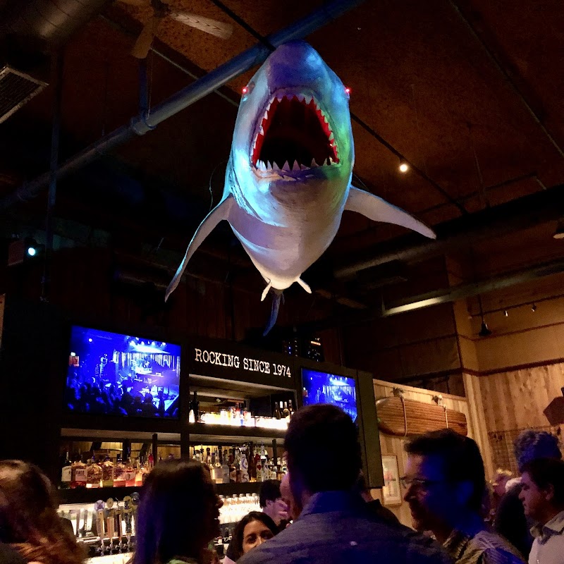 Belly Up Tavern photo 6