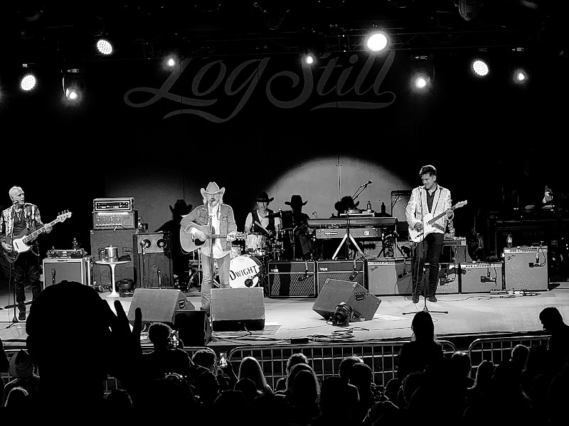 The Amp at Log Still photo 9