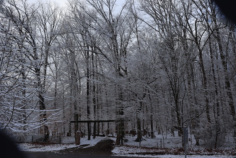 Iroquois Amphitheater photo 10