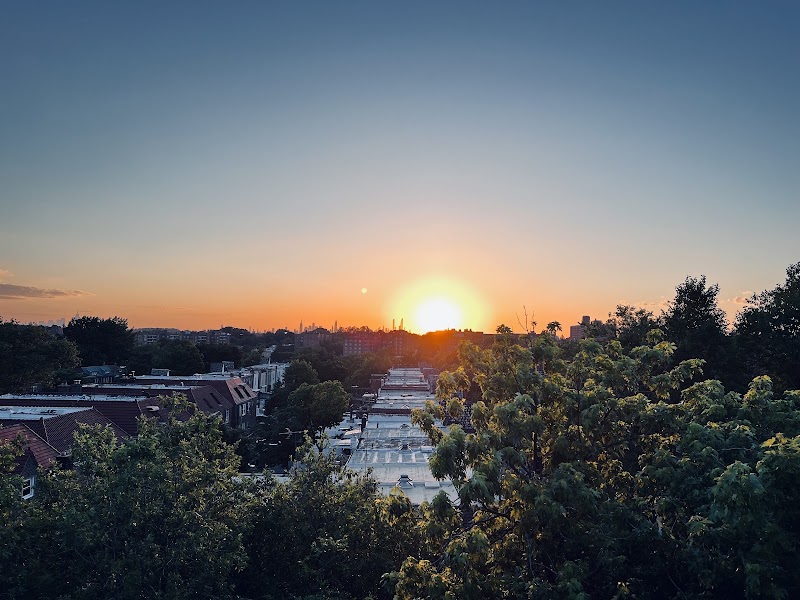 Forest Hills Stadium photo 8