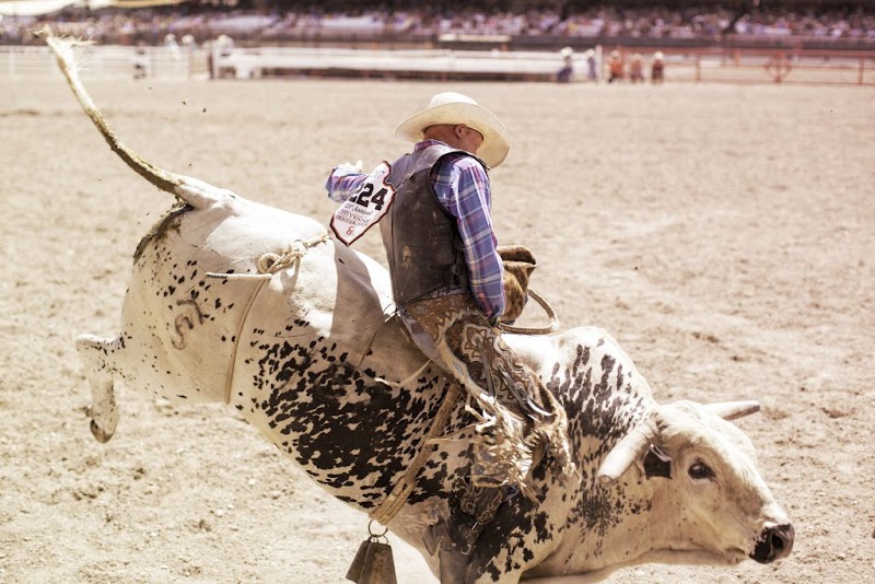 Cheyenne Frontier Days photo 1