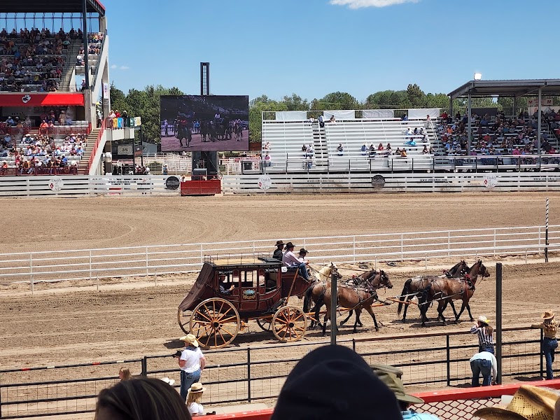 Cheyenne Frontier Days photo 3