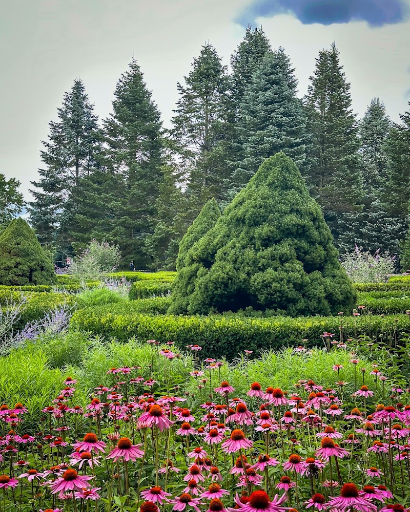 Blossom Music Center photo 8