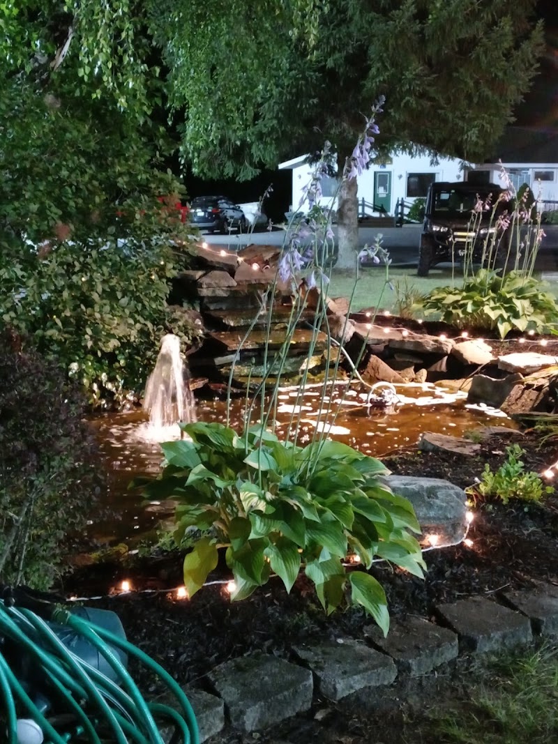 Clinton County Fair photo 10