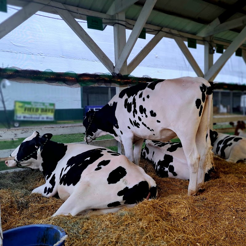 Morrison County Fairgrounds photo 1