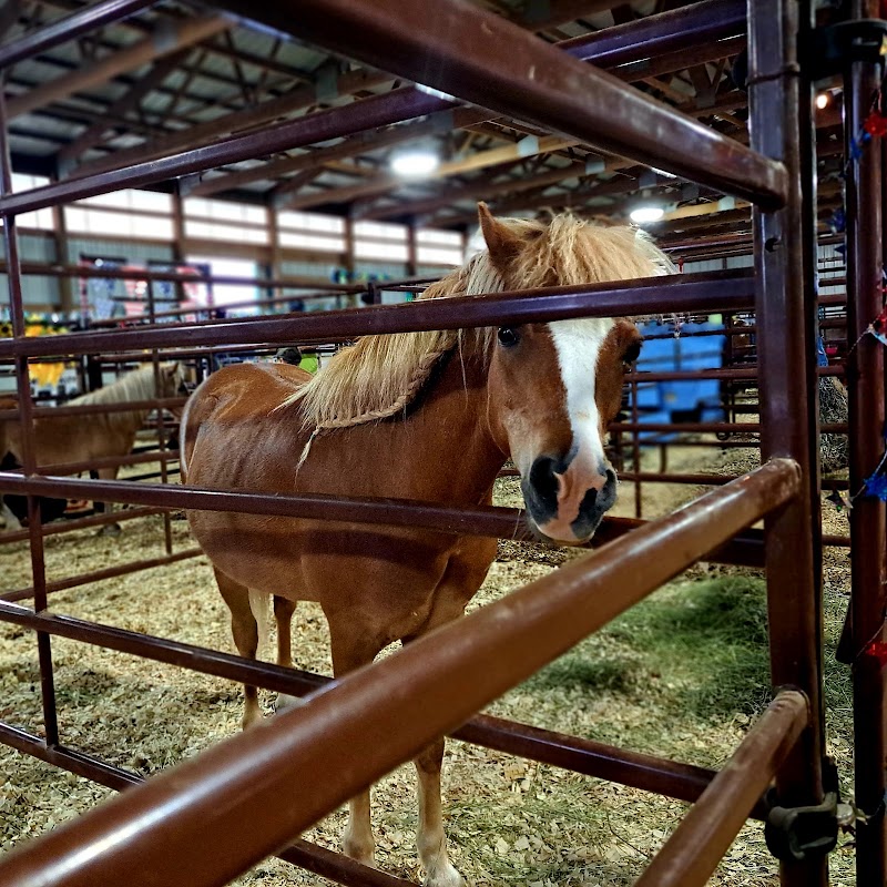 Morrison County Fairgrounds photo 3