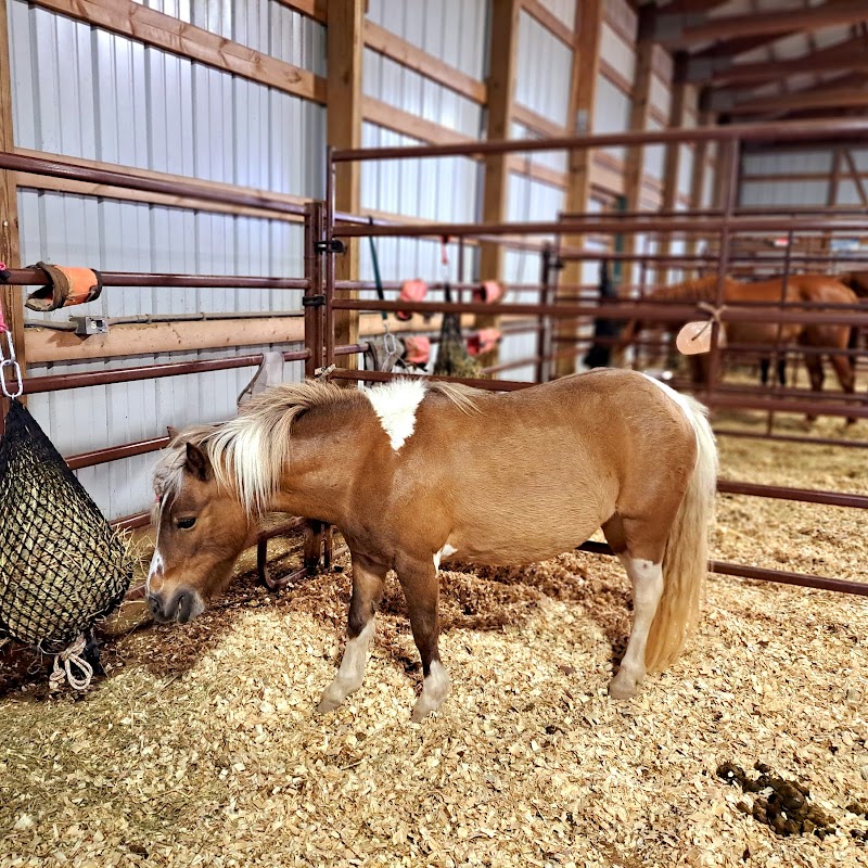 Morrison County Fairgrounds photo 9