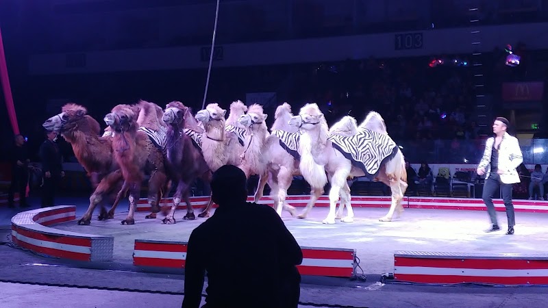 Town Toyota Center photo 9