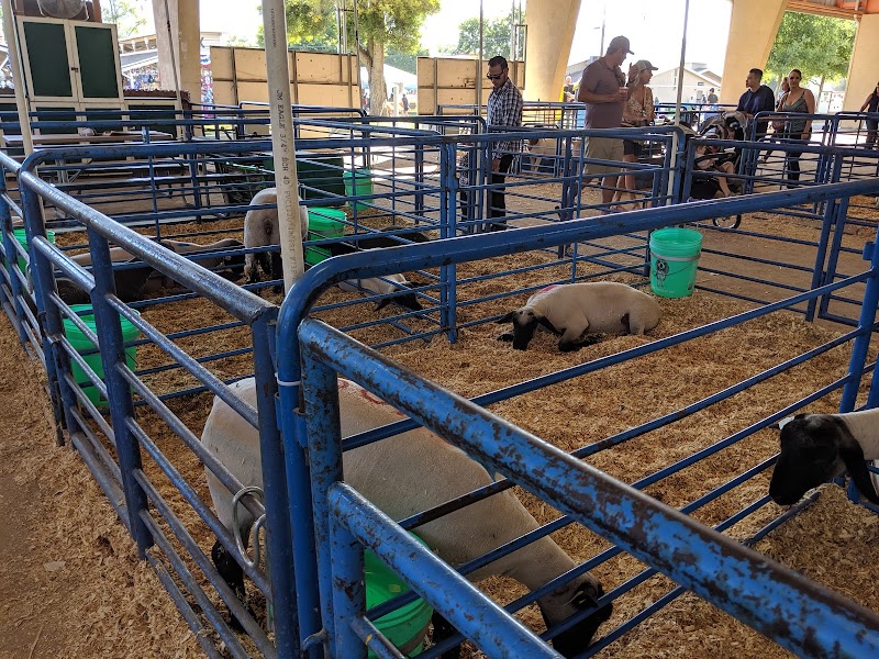 Alameda County Fairgrounds photo 10