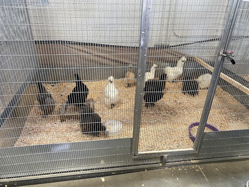 Alameda County Fairgrounds photo 3