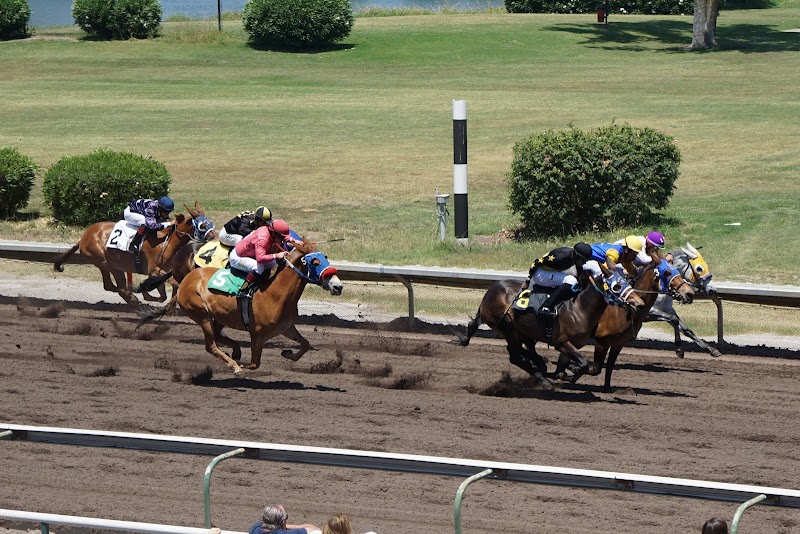 Alameda County Fairgrounds photo 9