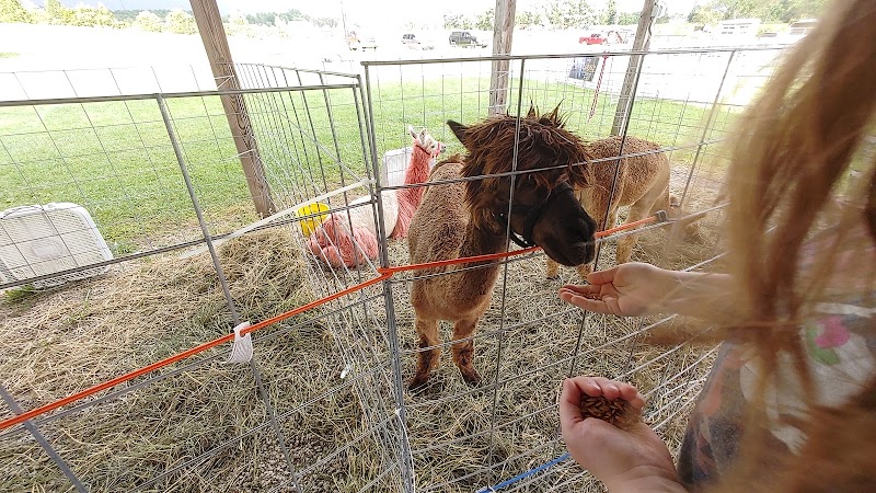 Madison County Fairgrounds photo 2