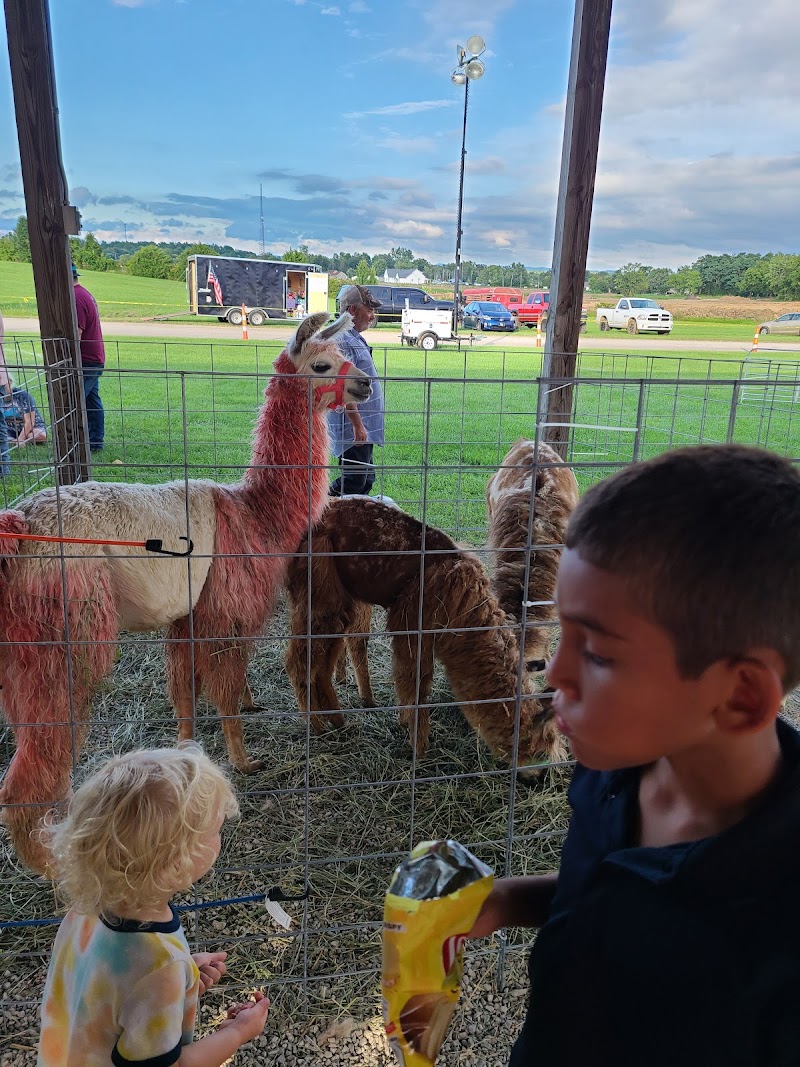 Madison County Fairgrounds photo 9