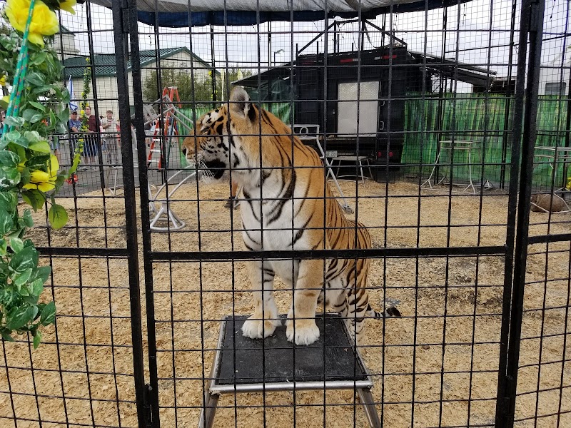 State Fair of West Virginia photo 9