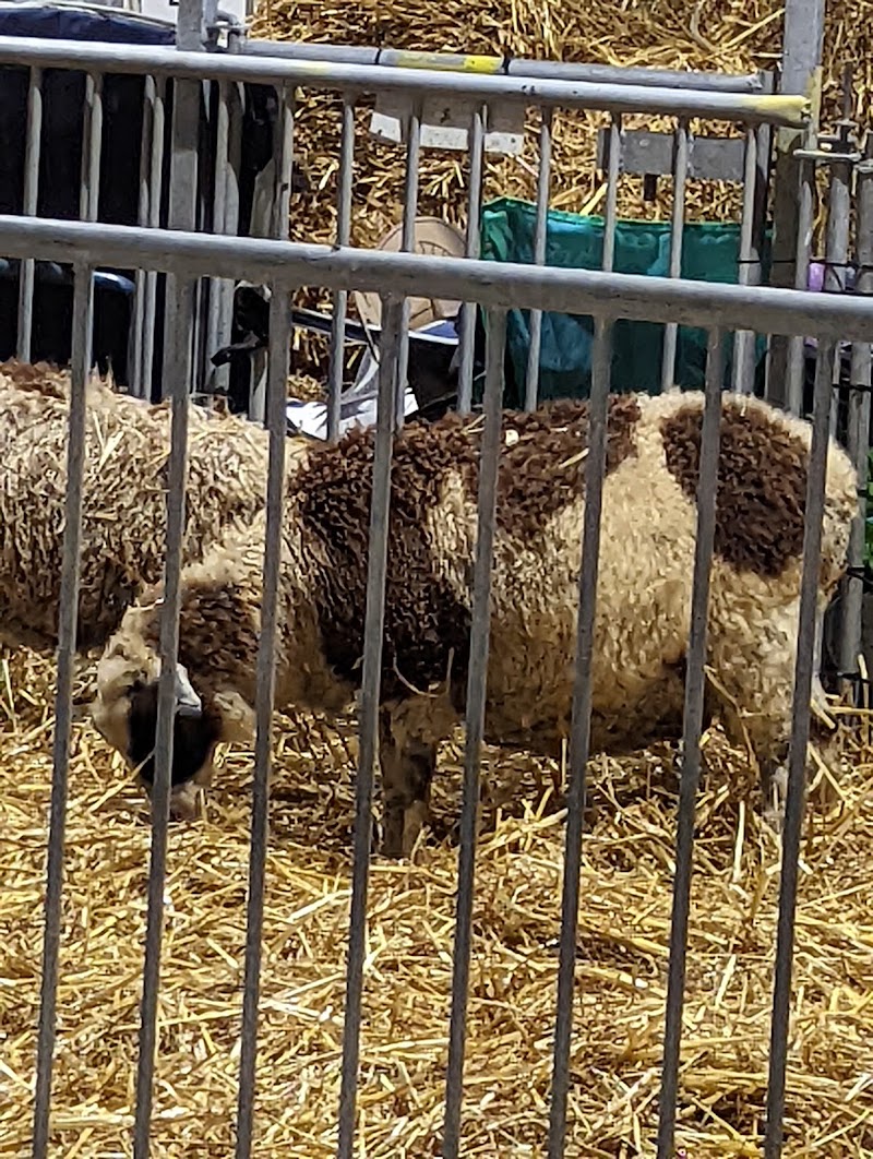 Delaware State Fair photo 10