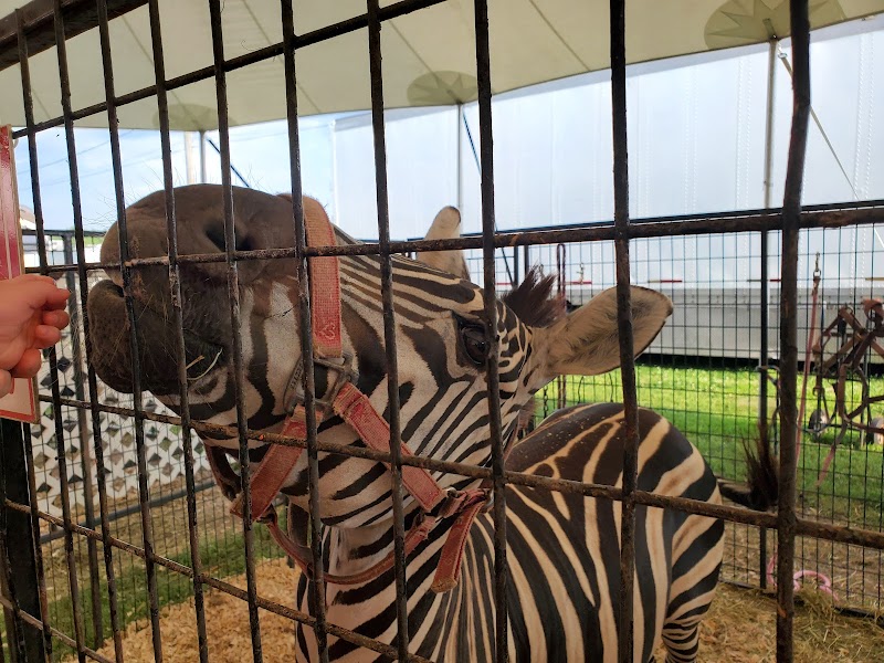 Delaware State Fair photo 3