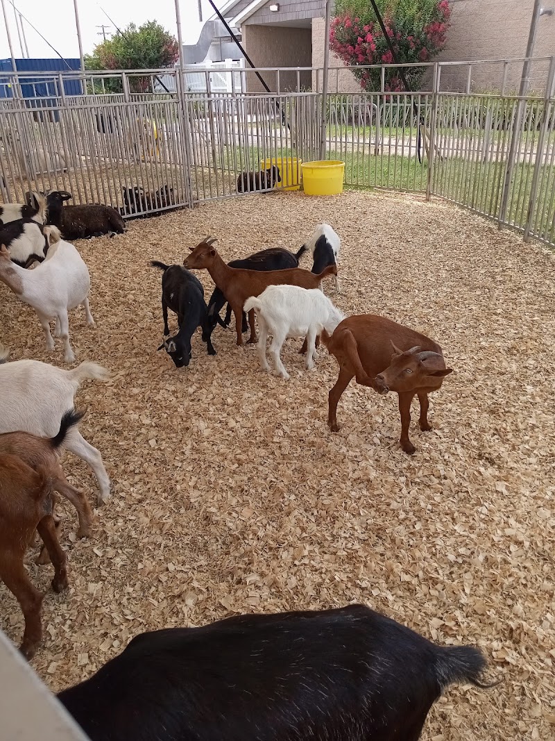 Delaware State Fair photo 5