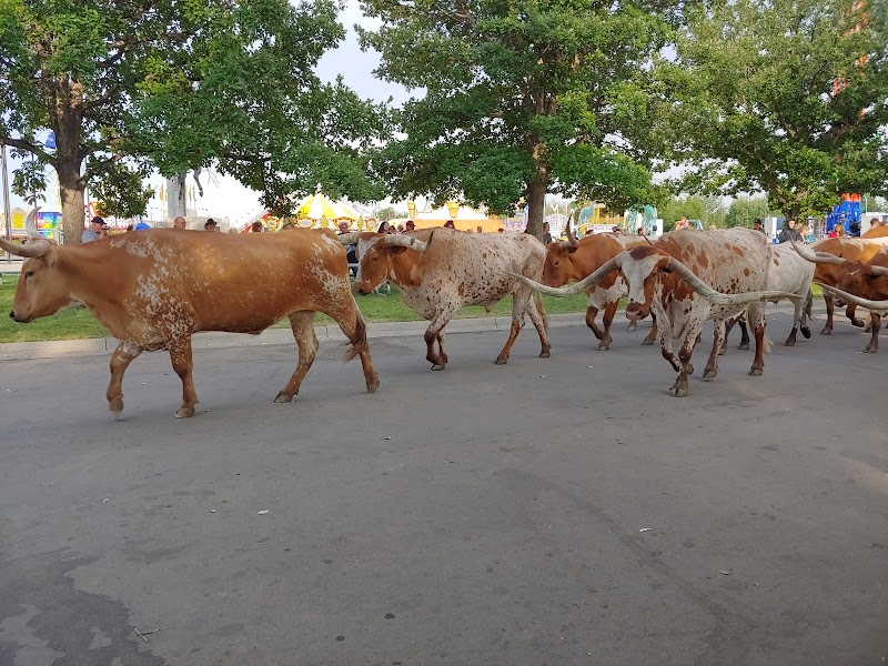 Greeley Stampede photo 10