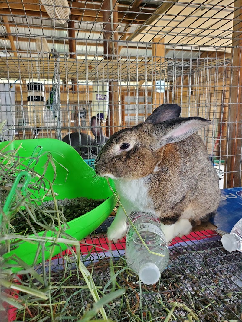 Richland County Fairgrounds photo 5
