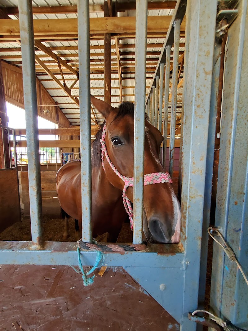 Richland County Fairgrounds photo 6