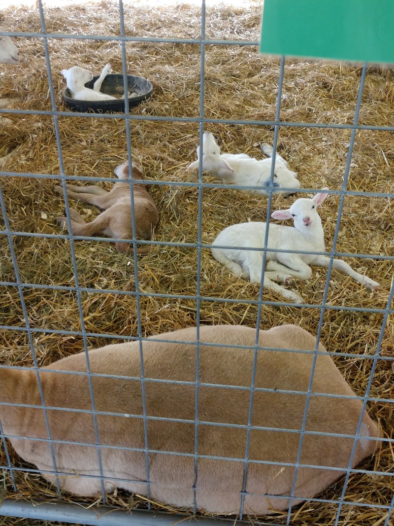 Porter County Fairgrounds photo 10