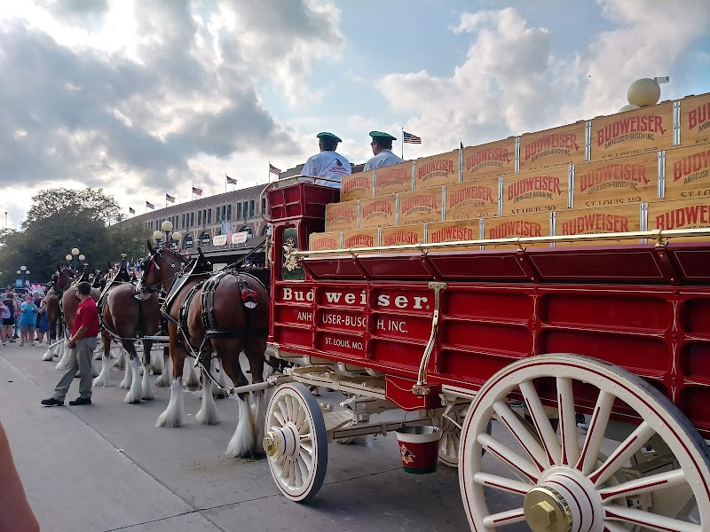 Iowa State Fair photo 10