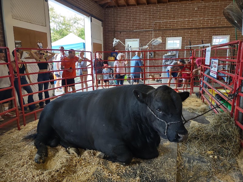 Iowa State Fair photo 3