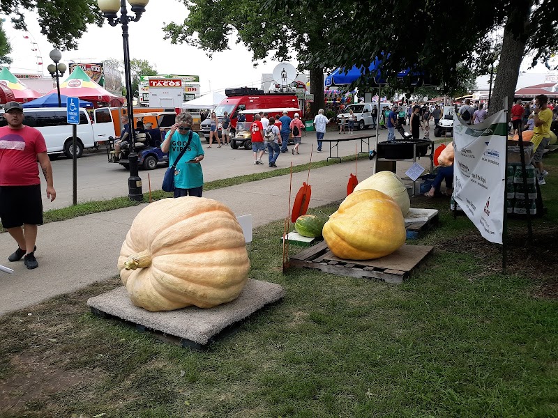 Iowa State Fair photo 4