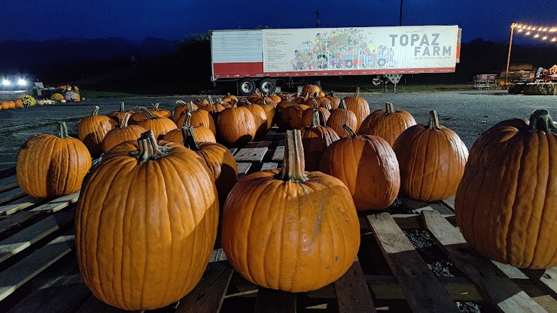 Topaz Farm photo 10