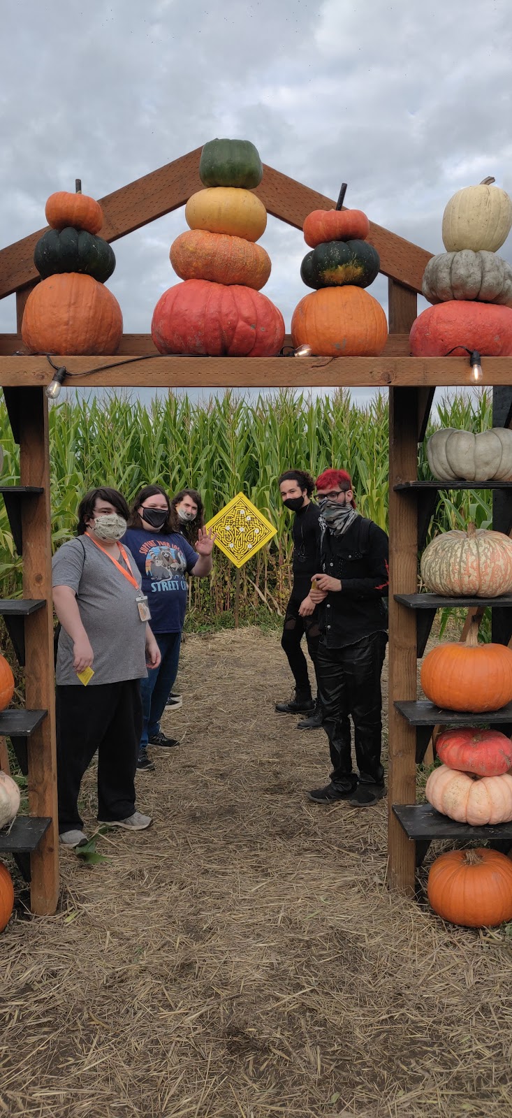 Topaz Farm photo 3