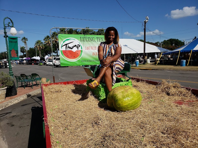 Watermelon Thump photo 5