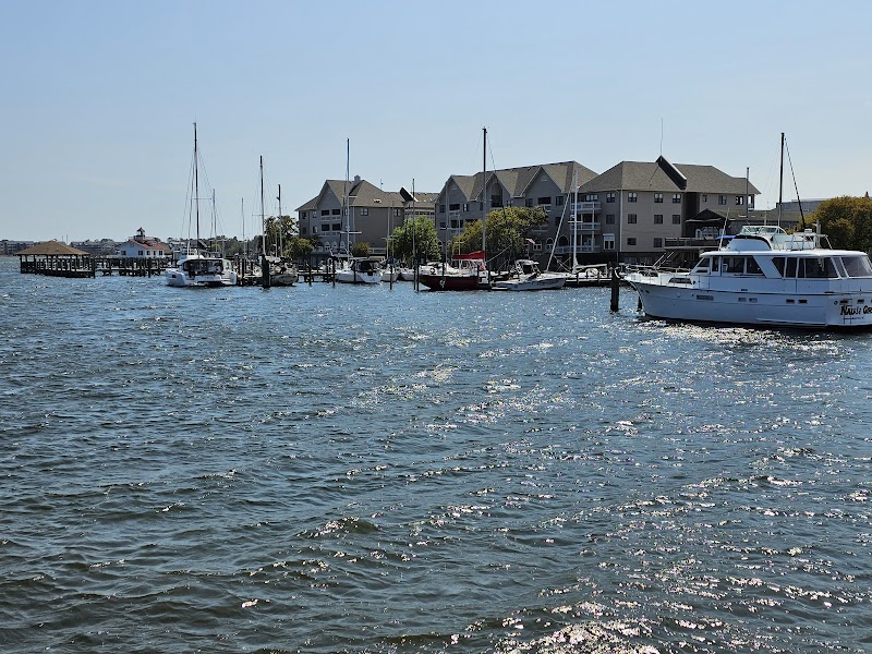 Roanoke Island Festival Park photo 6