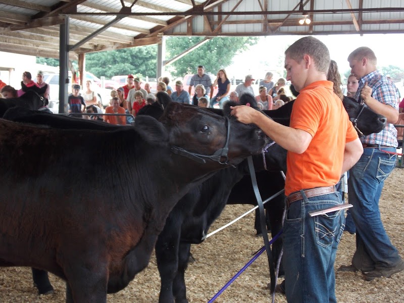 Morgan County Fairground photo 11