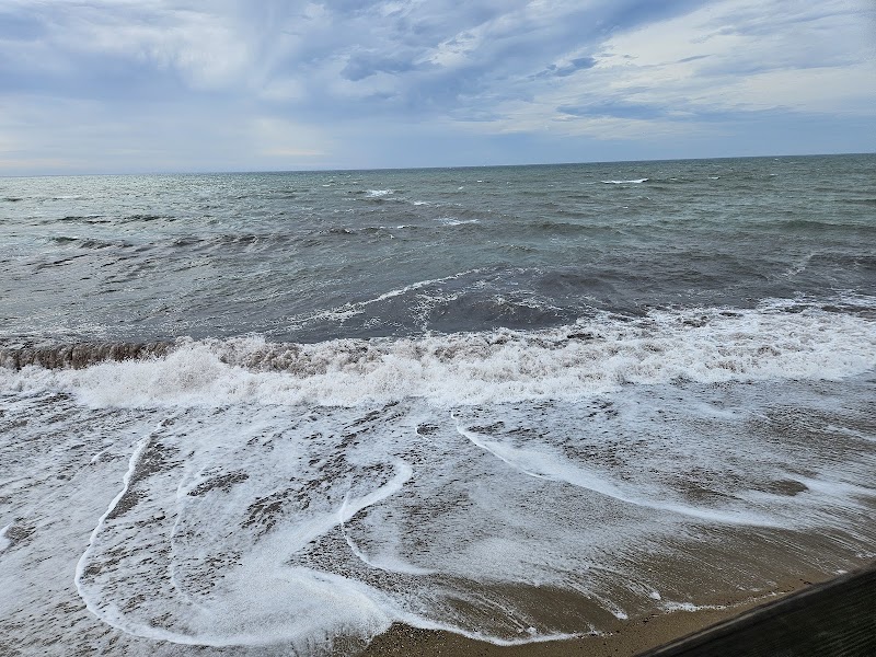 Ocean Mist photo 10