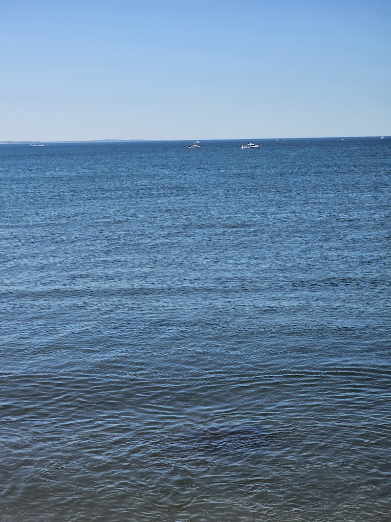 Ocean Mist photo 4