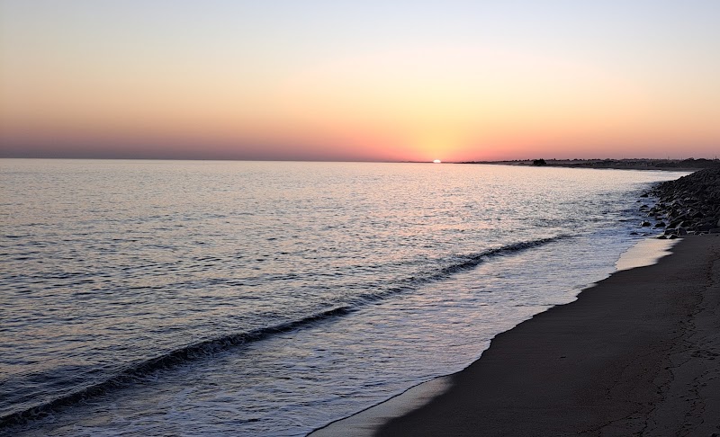 Ocean Mist photo 6