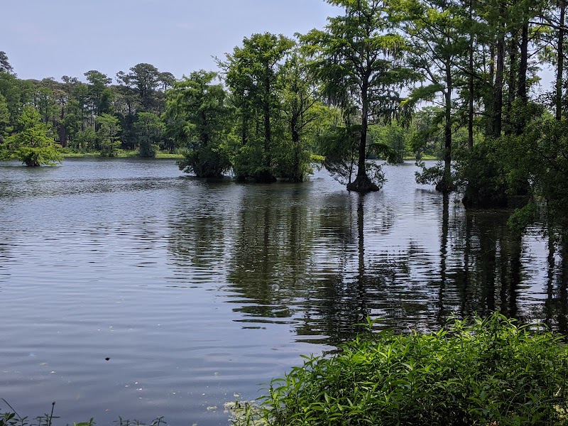 Greenfield Lake Amphitheater photo 5
