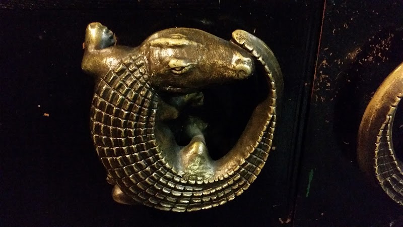 The Crocodile photo 4