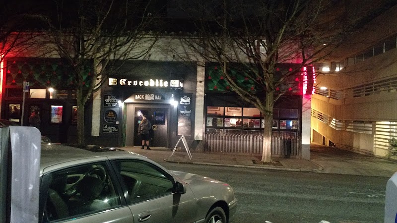 The Crocodile photo 9